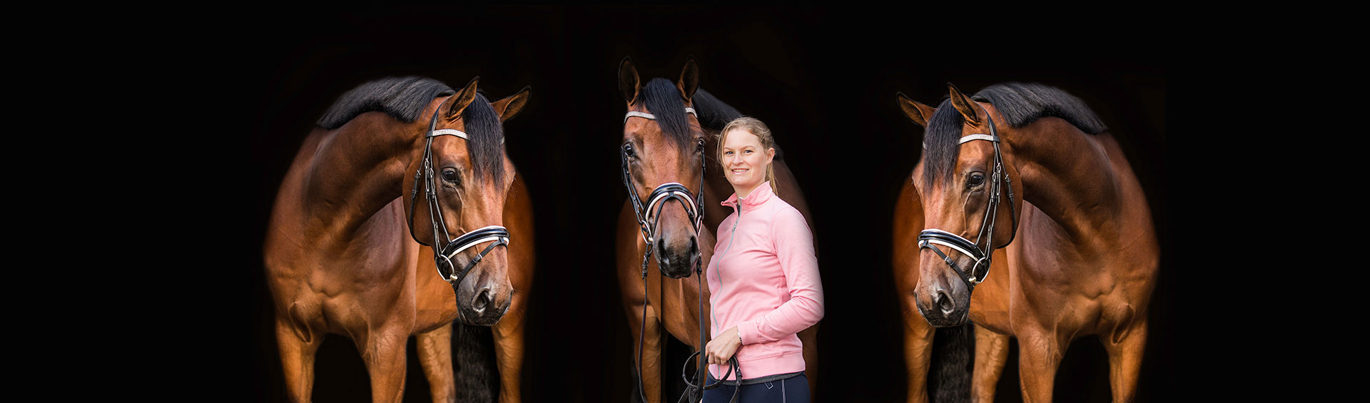 Wendy Maertens - Athletic Horse - Default Header